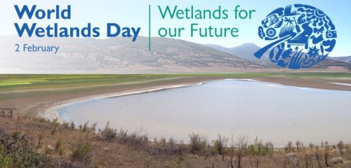 World Wetlands Day