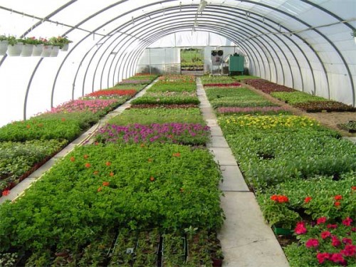 horticulture-sector