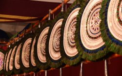 Thrissur Pooram 2016 – Elephant Ornament Exbhition Started