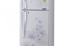 LG 285 Ltr GL-D302JPFL Frost Free Double Door Refrigerator – Pearl Florid for Rs.24,990