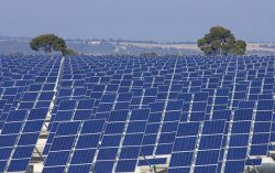 Govt plans Solar Power Plants on Waste Land