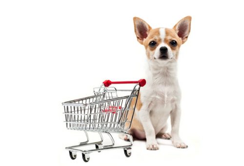 dog to shop