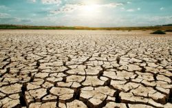 Cabinet Secretary calls for Integrated Action Plan to tackle drought