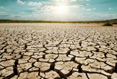 Cabinet Secretary Calls For Integrated Action Plan To Tackle Drought