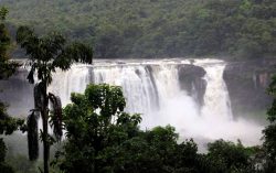 Amazing Athirapilly Water Falls