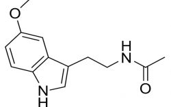 The Fact of Melatonin