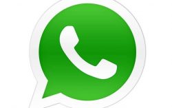 How to function in a Whatsapp group? – Protocols