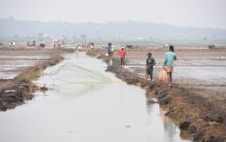 Fishing at koleland in Kerala