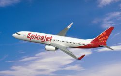 Spicejet Offer: Flat 12% Discount on Flights between Dubai and India