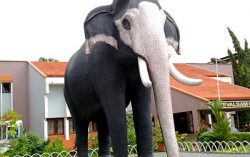 Guruvaayoor Keshavan: The Majestic Elephant