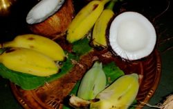 Why only Coconut and Banana are offered in the temples?