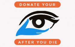 Eye Donation Status Update in India