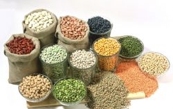 Government issues instructions to States/UTs and FCI to ensure supply of good quality foodgrains under PDS