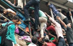 What did happen on Elphinstone railway station: The facts