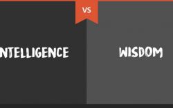 The difference between Intelligence Wisdom!