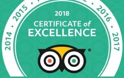 Ecuador Freedom Awarded TripAdvisor Certificate of Excellence for Five Consecutive Years