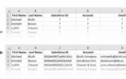 Finding and Reporting Salesforce Data Now Possible with Cloudingo