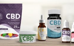 Hempure Launches the CBD Dosage Guide