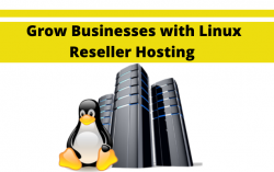 How to Grow Businesses with Unlimited Linux Reseller Hosting