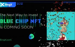 BingX Launches Innovative Blue Chip NFT Investing Through Crowdfunding