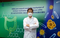 Hong Kong Baptist University joint research reveals that gut microbial enzymes reactivate triclosan which induces colitis