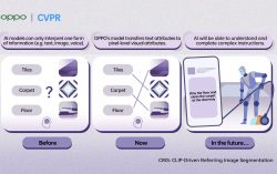 OPPO has 7 papers selected and wins 8 challenges at CVPR 2022