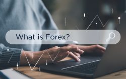 Exploring the Forex market: the basics