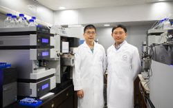 Hong Kong Baptist University research unveils association between plasma metabolites and COVID-19 antibody levels in recovered patients