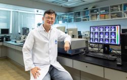 HKBU joint research develops multifunctional nanoparticle for diagnosis and treatment of glioma