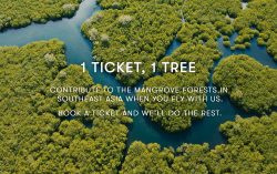 BUY ONE, GET ONE TREE! Cathay Pacific to plant mangrove trees across Southeast Asia