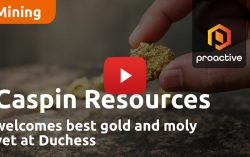 Caspin Resources welcomes best gold and moly yet at Duchess