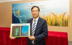 Hong Kong Baptist University-led research facilitates more efficient hybrid rice breeding with pioneering female sterility technique