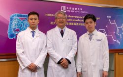 Hong Kong Baptist University-led research discovers new therapeutic target for irritable bowel syndrome