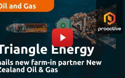 Triangle Energy hails new farm-in partner New Zealand Oil & Gas