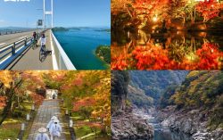 Resumption of the Takamatsu (Kagawa prefecture in Shikoku, Japan) – Hong Kong route (scheduled flights)