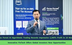 Forex Forest Algorithmic Trading Reports Impressive 2,300% Profit in 10 Months