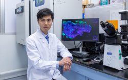 Hong Kong Baptist University joint research suggests that urine cytomegalovirus test facilitates early prediction of AIDS end-organ diseases