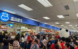 Freshippo Accelerates Expansion with Same-Day Launch of 12 New Stores Across 8 Cities in Mainland China