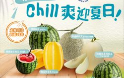 K-Melon Summer Chill: 5 Korean Melons in Season