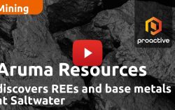 Aruma Resources discovers REEs and base metals at Saltwater