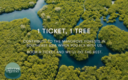 1 TICKET, 1 TREE – Cathay Pacific organises third iteration of mangrove tree-planting initiative in continued efforts to support local communities, restore local habitats and drive climate resilience