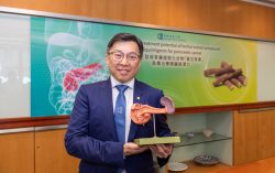 HKBU unveils treatment potential of herbal extract compound isoliquiritigenin for pancreatic cancer