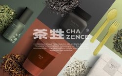 ZENCE OBJECT Secures $2.5 Million in Seed Funding to Commercialise Sustainable Materials from Tea Residuals