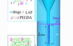 HKU Biomedical Engineering team develops a novel injectable hydrogel that can revolutionise regenerative medicine