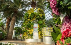 Heritage drinks brand Yeo’s launches spectacular Drinkable Garden at Gardens by the Bay