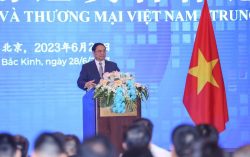 Vietnam and China: comprehensive agricultural cooperation