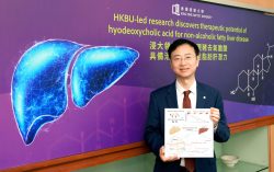 HKBU-led research discovers therapeutic potential of hyodeoxycholic acid for non-alcoholic fatty liver disease