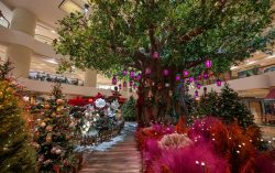 “A Fairytale Christmas” Is Coming To Pacific Place! Experience A Magical Adventure Like No Other This Season