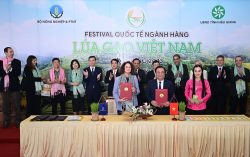 International Festival of Vietnam Rice Industry – Hau Giang 2023: ‘Green Rice for Life’