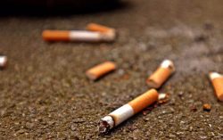 Tobacco’s Toll: Understanding its Devastating Effects